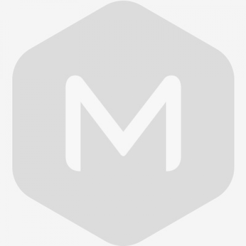 北京踏實(shí)2024年春節(jié)放假通知